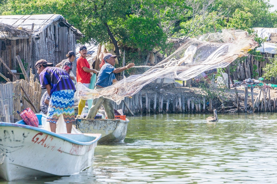 Hay que respetar las vedas de pesca, para que se reproduzcan los peces y  mariscos - Noticias AL